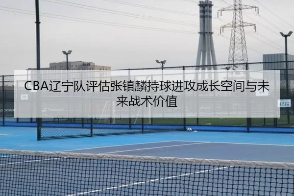 CBA辽宁队评估张镇麟持球进攻成长空间与未来战术价值