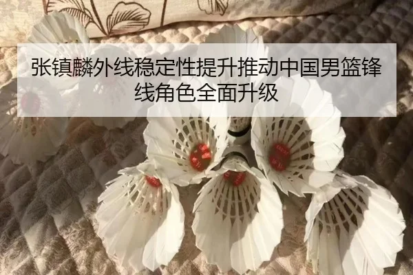 张镇麟外线稳定性提升推动中国男篮锋线角色全面升级