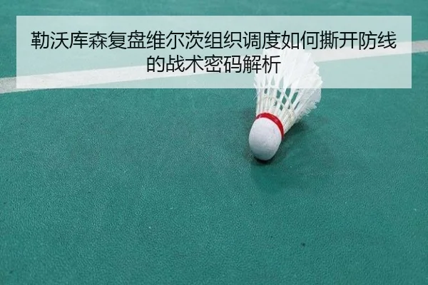 勒沃库森复盘维尔茨组织调度如何撕开防线的战术密码解析